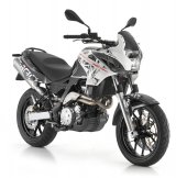 2009 Aprilia Pegaso 650 photo